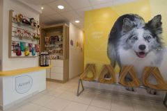 agencement_clinique_veterinaire_accueil