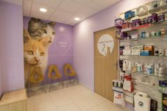 agencement_clinique_veterinaire_attente_chat