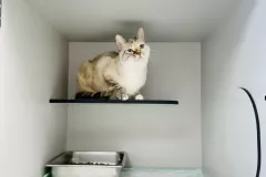 Photo-10-11-2023-10-17-16