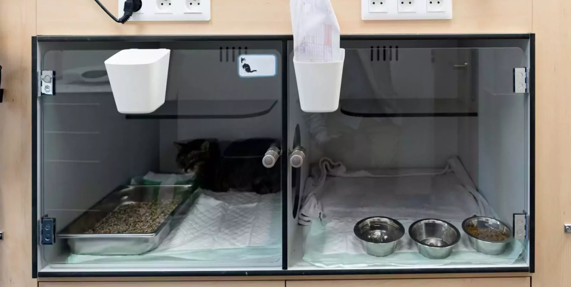Pourquoi adopter une cage cat friendly à Cannes pour votre clinique vétérinaire ?